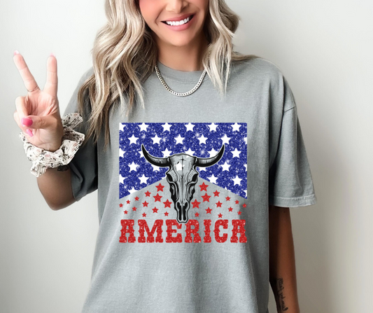 AMERICA SKULL FRONT GRAPHIC TEE